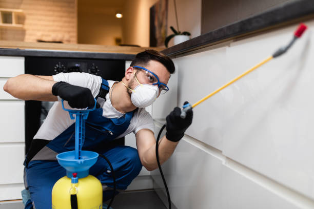 Trusted Arkansas City, KS Pest Control Experts