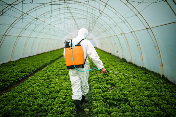 Pest Control for Restaurants in Arkansas City, KS