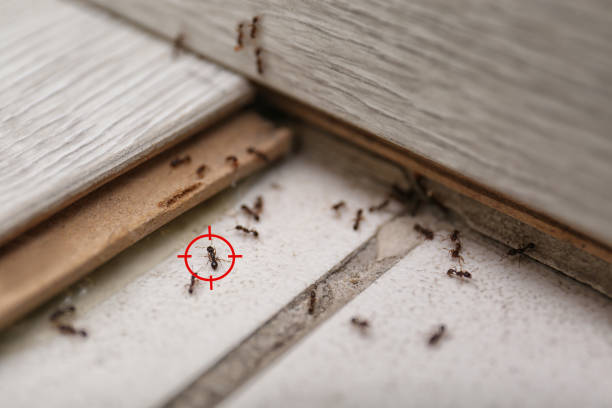 Best Wildlife Control Services  in Arkansas City, KS