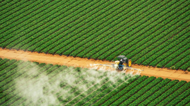 Best Mosquito Control Services  in Arkansas City, KS
