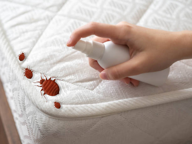 Best Cockroach Control Services  in Arkansas City, KS