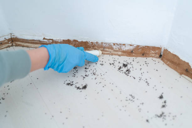 Best Affordable Pest Control Services  in Arkansas City, KS