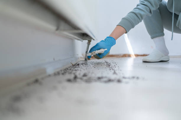 Best Best Pest Control Companies  in Arkansas City, KS
