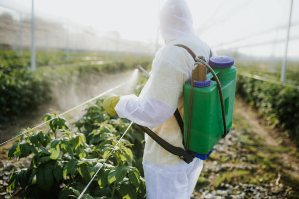 Best Pest Control for Restaurants  in Arkansas City, KS